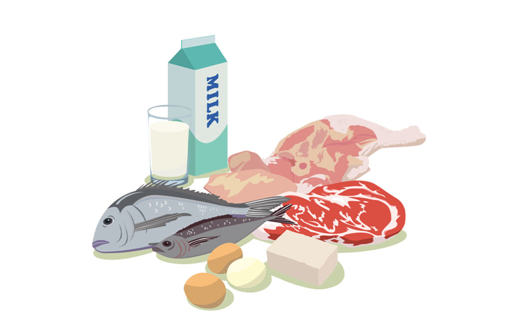 薄毛　タンパク質