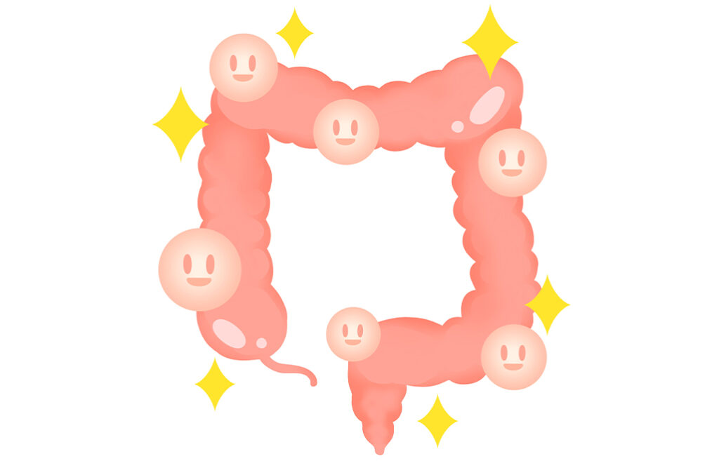 腸内フローラ　腸活　大腸