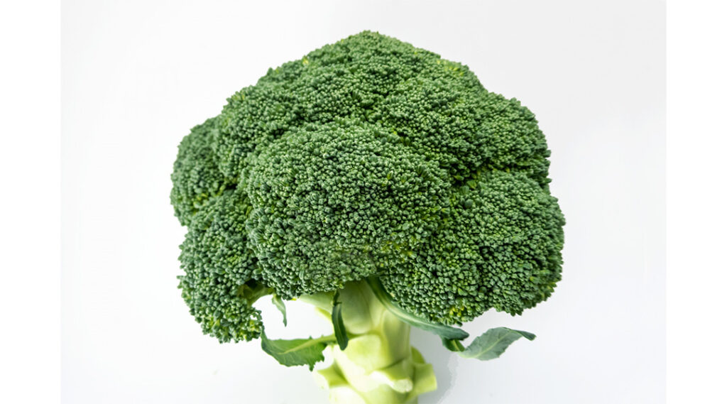 ブロッコリー