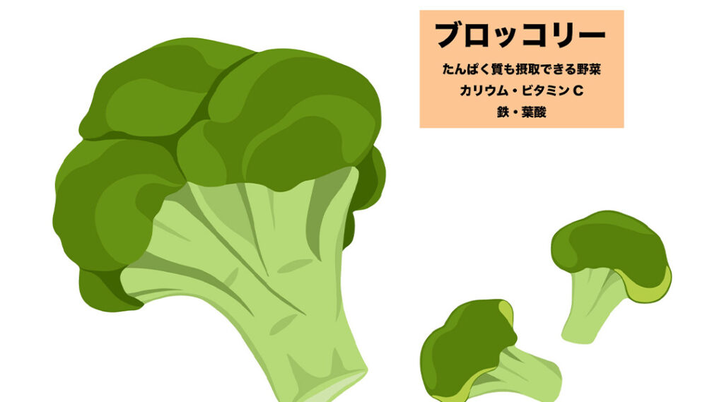 ブロッコリー