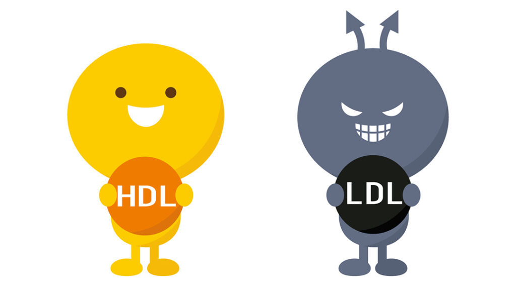 コレステロール