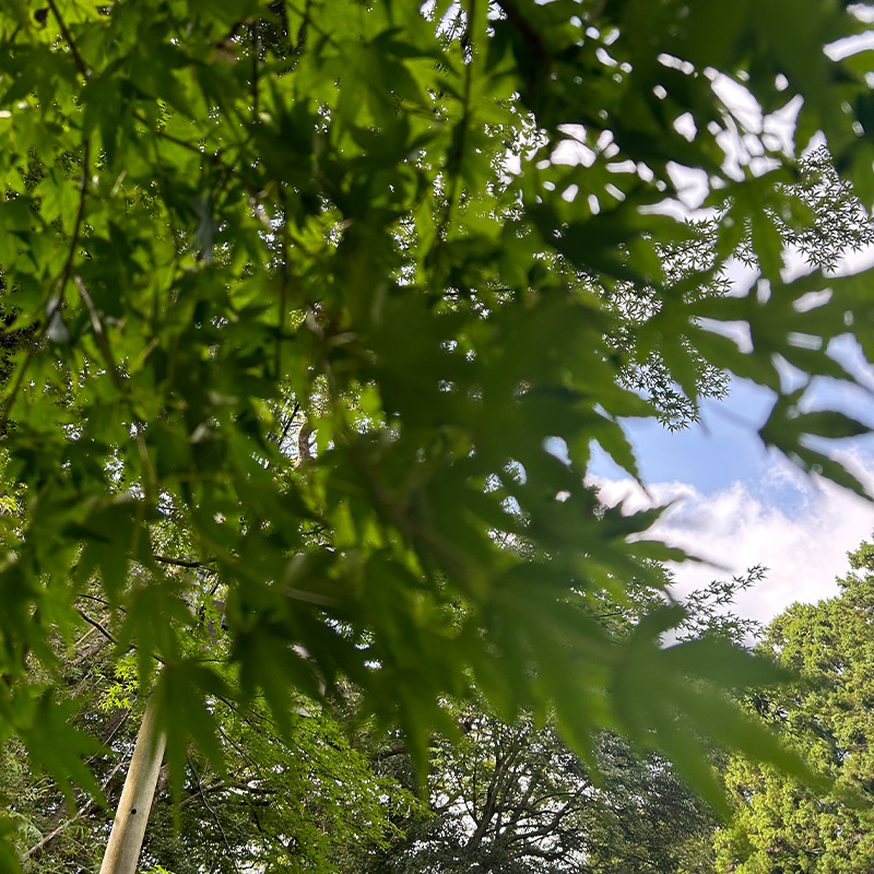 自分を大事にすること