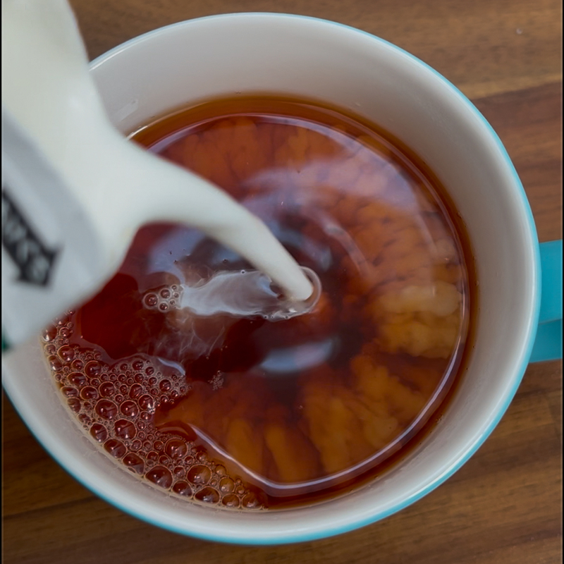 ジンジャー温活